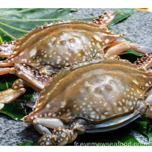 crabe de nom scientifique congelé